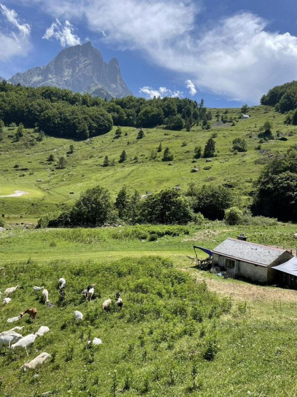 cabane estive