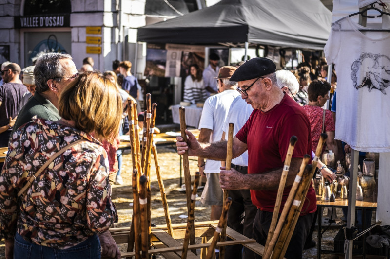 foire-au-fromage-laruns17-adrien-basse-cathalinat-pays-de-bearn-419437