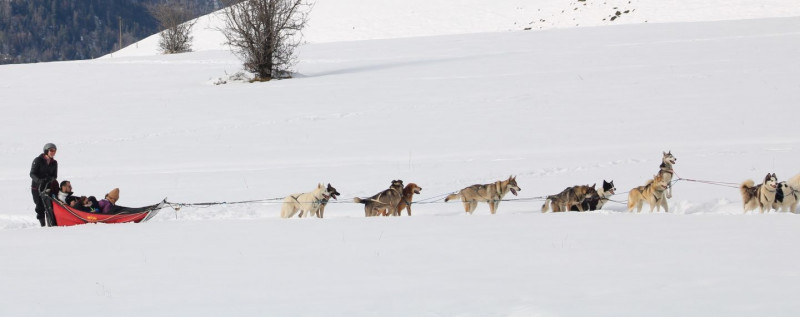 img-6157copie-2-251690