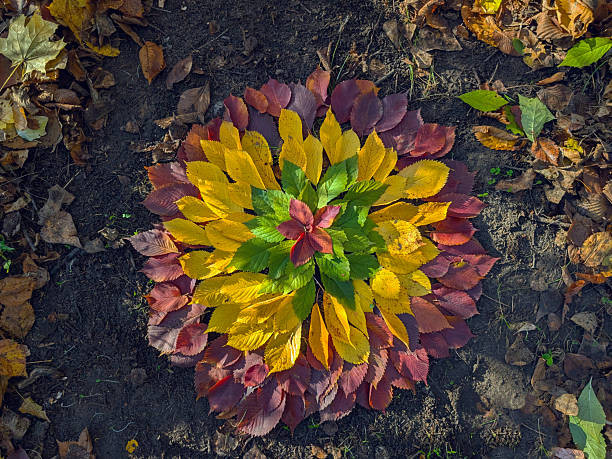 istockphoto-2243669096-612x612-315616