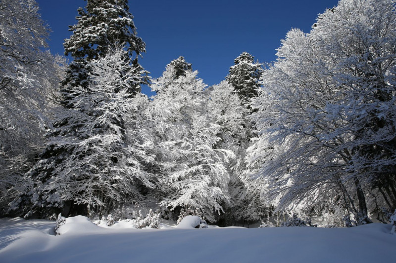 randonneehiver-nature-poums64-81555