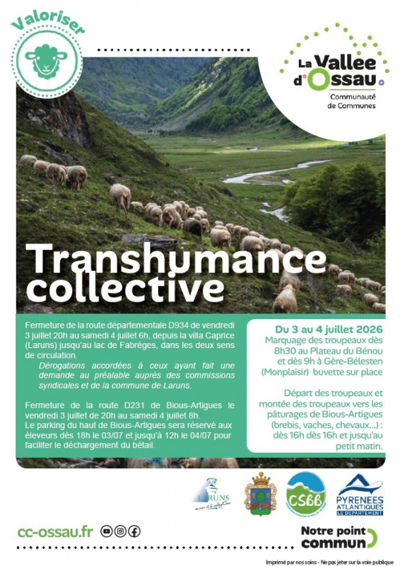 transhumance 1